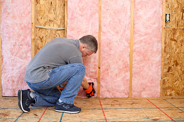 Best Specialty Insulation in Divernon, IL